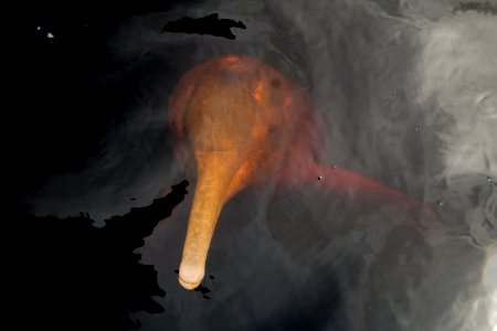 AnaClaudiaJatahy Boto NovoAirao AM