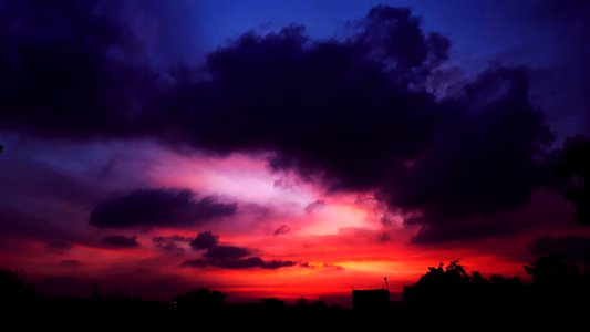 Colors