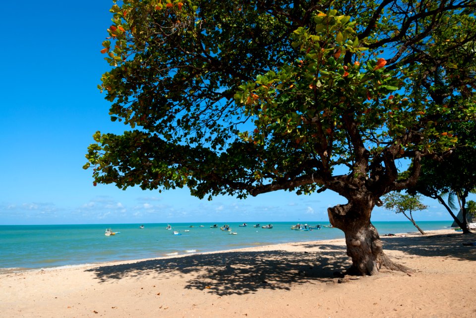CacioMurilo PraiaDeTambau JoãoPessoa PB