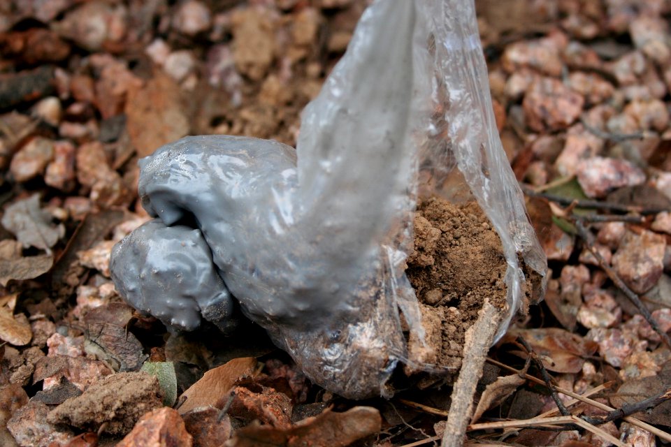 Form of... a Plastic Bag