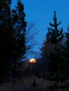 Moon Rising