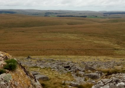 IMG 20200911 122150 Fox Tor , Childe's Tomb ( Childe The Hunter ) , Fox Tor Mires , Dartmoor National Park , Devon , UK photo