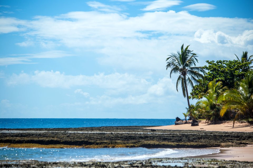 MARCIO FILHO  PRAIA DOS TRES  COQUEIROS MARAU BAHIA