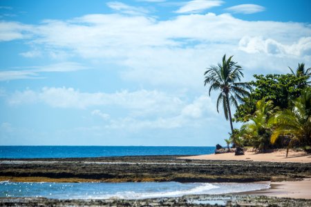 MARCIO FILHO PRAIA DOS TRES COQUEIROS MARAU BAHIA photo