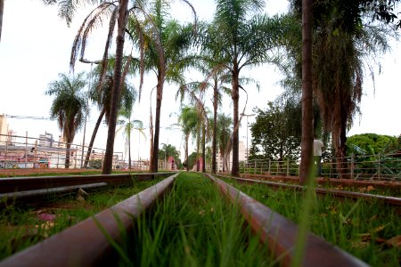Flávio André Orla da Ferroviária Campo Grande MS