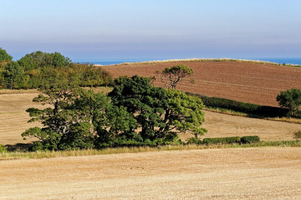 Nature summer landscape sky