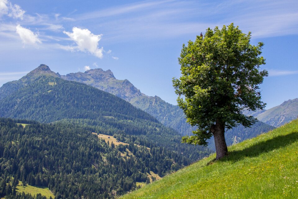 Nature landscape austria photo