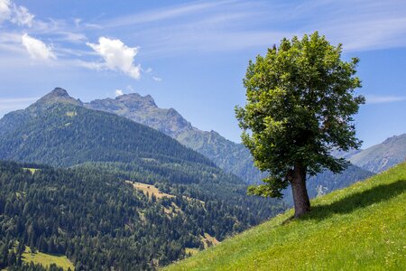 Nature landscape austria