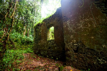 ROGERIO CASSIMIRO ruinas da igreja ermida do guaibe BERTIOGA SP photo