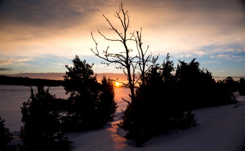 Winter sunrise photo
