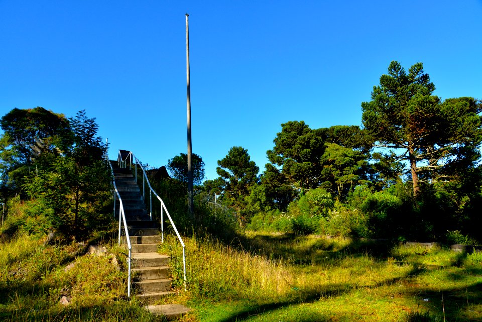 RenatoSoares Mirante dos Pinheiros ou das Araucárias São Joaquim SC