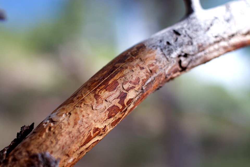 Worn Handle