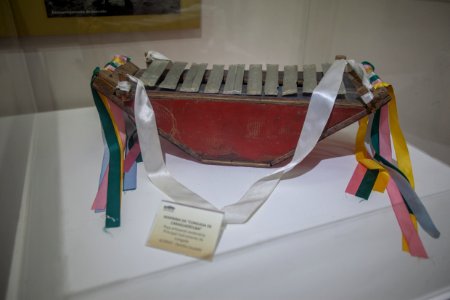 ROGERIO CASSIMIRO Museu Adaly Coelho Passos CARAGUATATUBA SP