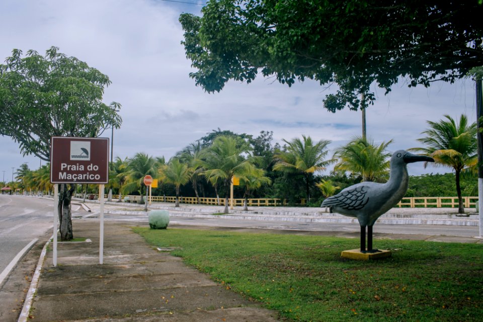 BrunaBrandao OrladoMacarico Salinopolis PA