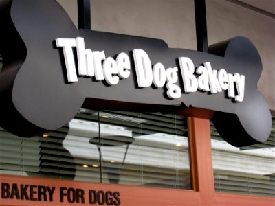 For the Pampered Puppy