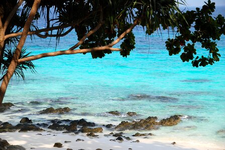 Beach sea thailand photo