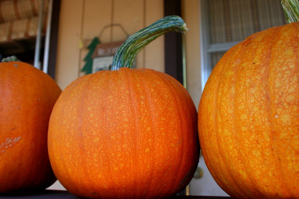 Pumpkin From Arizona