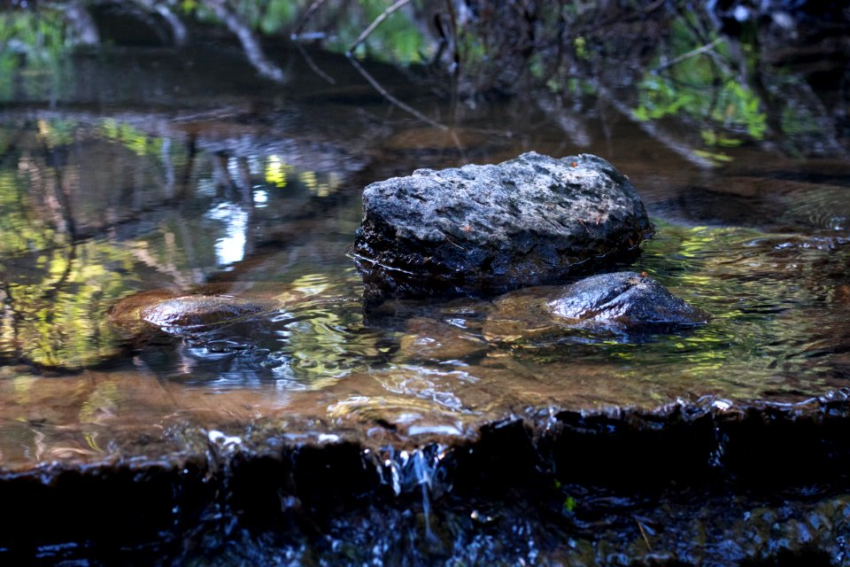 Creek Edge