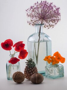 Poppies glass pineapple
