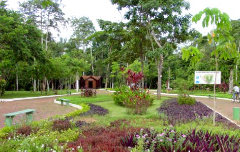 Assis Lima Casa do Seringueiro Parque Chico Mendes Rio Branco AC photo