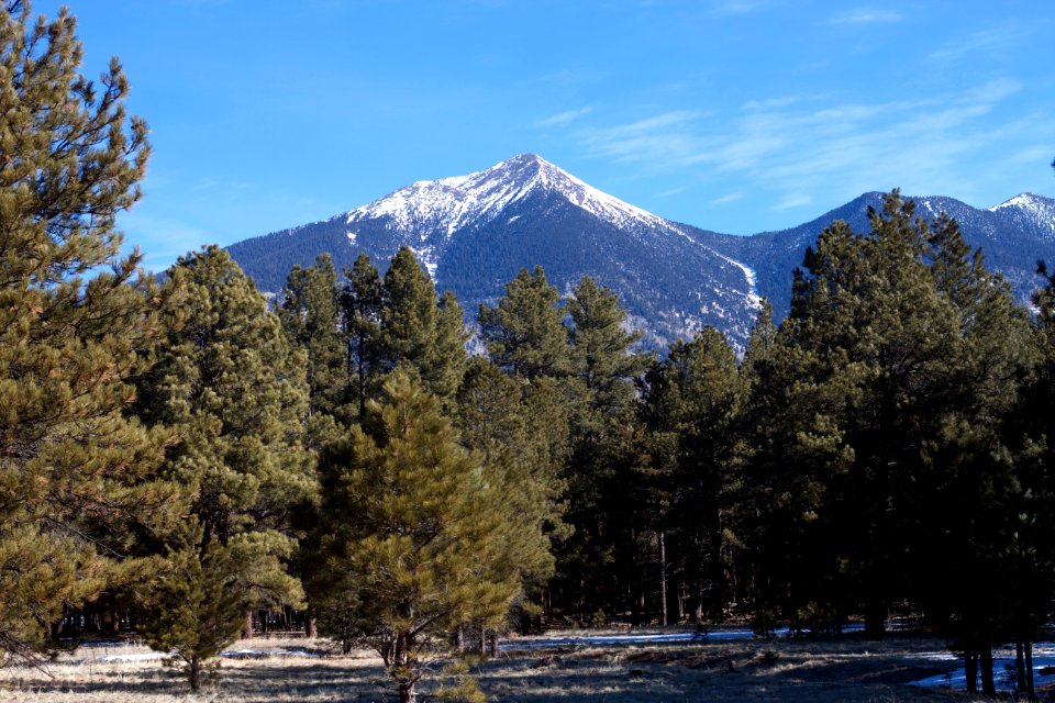 San Franciso Peaks