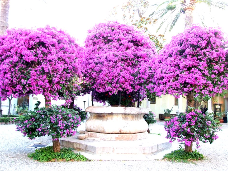 Hotel San Domenico-Taormina-Sicilia-Italy - Creative Commons by gnuckx