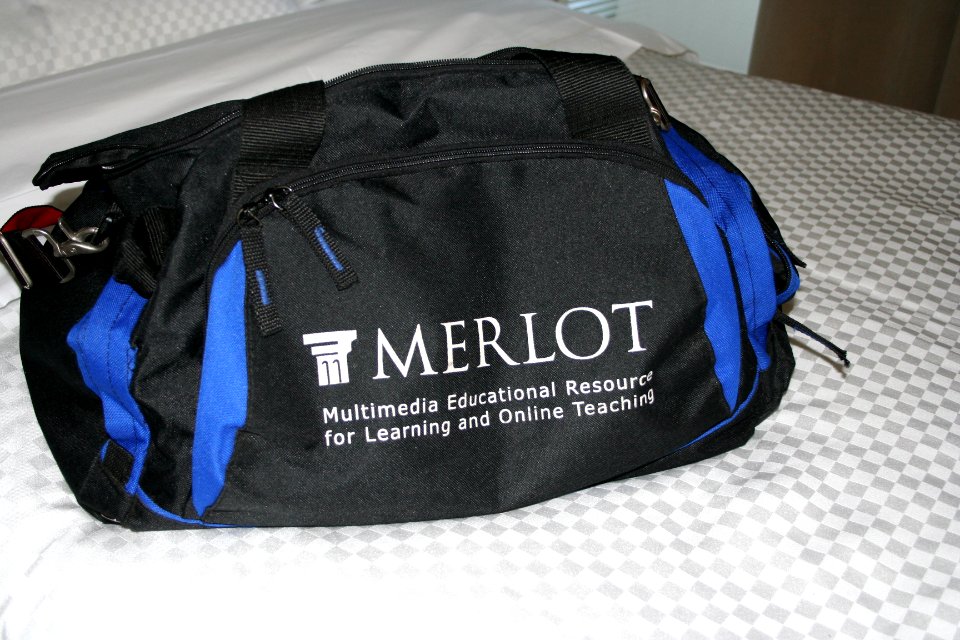 Now This is a Conference Bag!