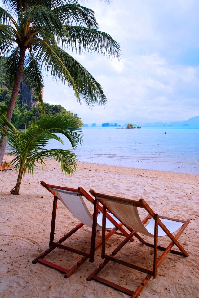 Sand beach vacations palm trees