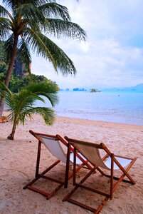 Sand beach vacations palm trees