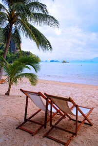 Sand beach vacations palm trees photo