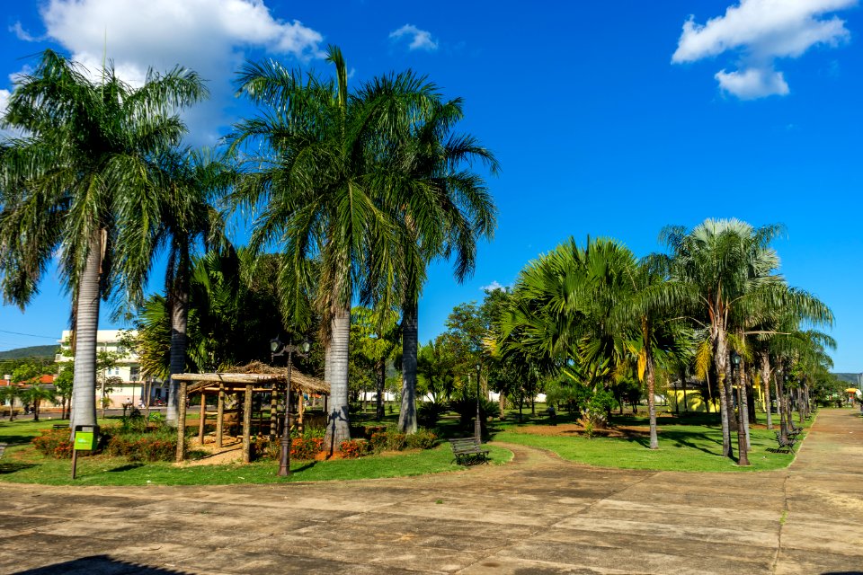 PabloRegino PraçadosIpes RioQuente GO
