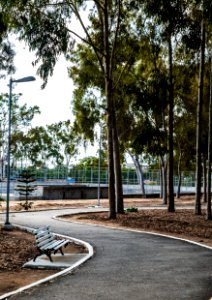 BRUNO LIMA PARQUE DOS EUCALIPTOS GARANHUNS PE (17)