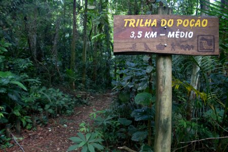 ROGERIO CASSIMIRO Parque Estadual da Serra do Mar CARAGUATATUBA SP photo