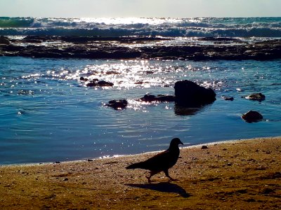 Love the sea