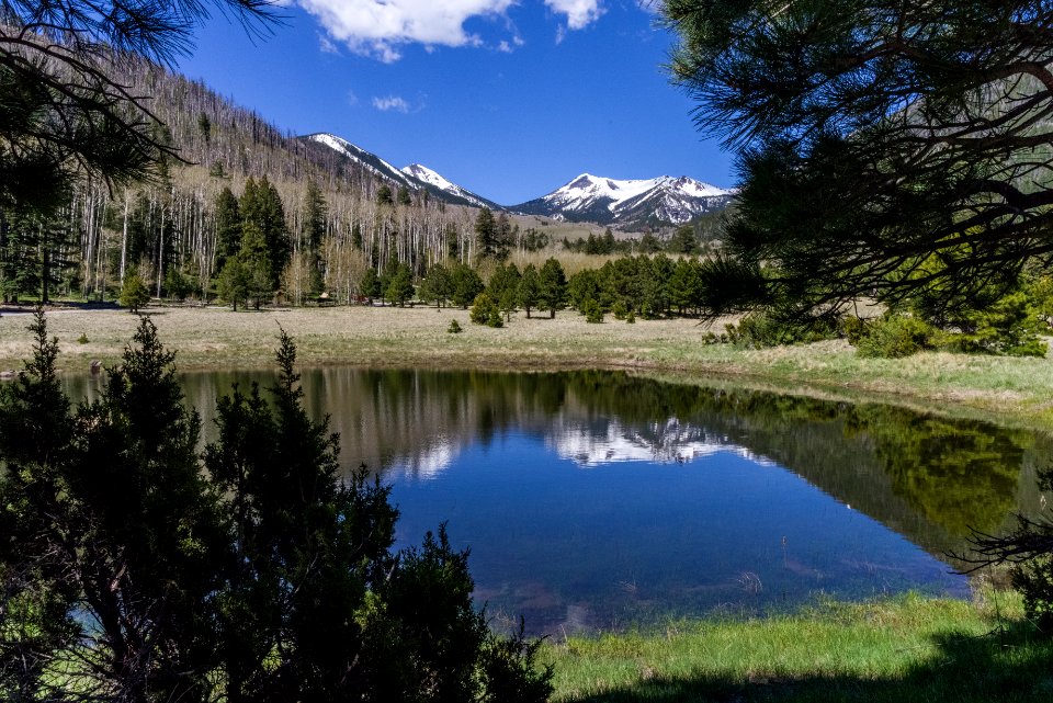 Lockett Meadow