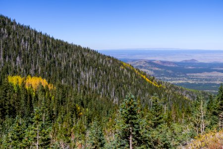 Waterline Trail No. 146