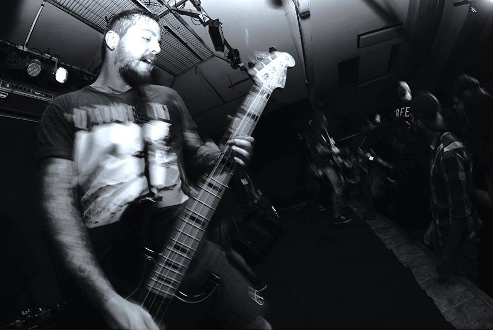 |VPF| RESET FEST