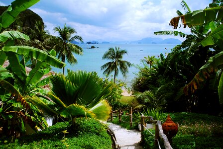 Thailand tropic landscape photo