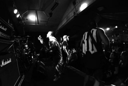 |VPF| RESET FEST photo