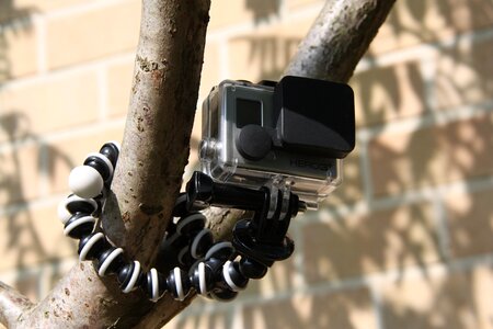 Sport camera tree