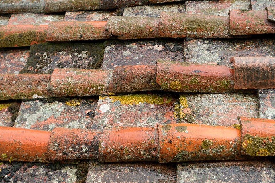 Red housetop tile