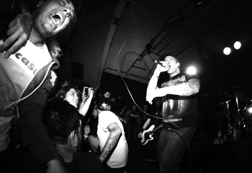 |VPF| RESET FEST