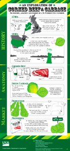 St Patricks Day - corned beef and cabbage photo