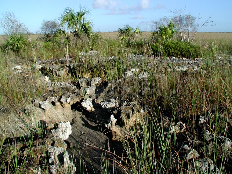 Pinnacle Rock- East Everglades (2), NPSPhoto