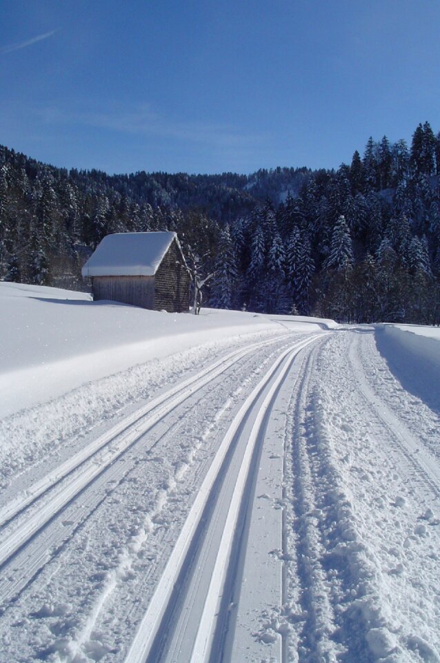 Trail nature cross country skiing