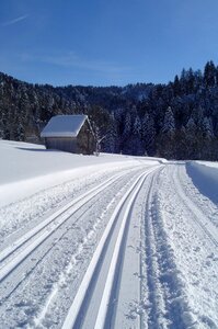 Trail nature cross country skiing
