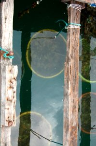 Vietnam 2015 (Hanoi, Halong Bay, Hoi-An)
