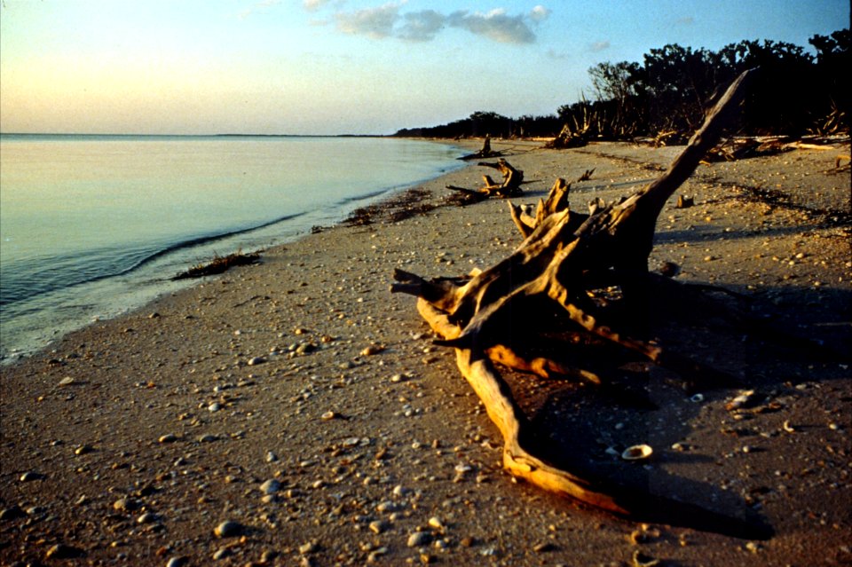 Cape Sable, NPSPhoto