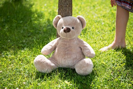 Stuffed animal bear cute
