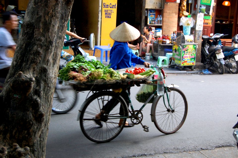 Vietnam 2015 (Hanoi, Halong Bay, Hoi-An)